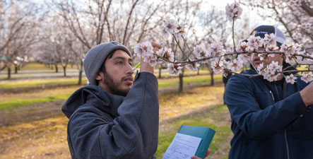 Students on the Chico State University Farm