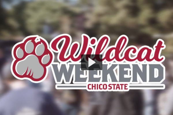 Wildcat Weekend Video Link