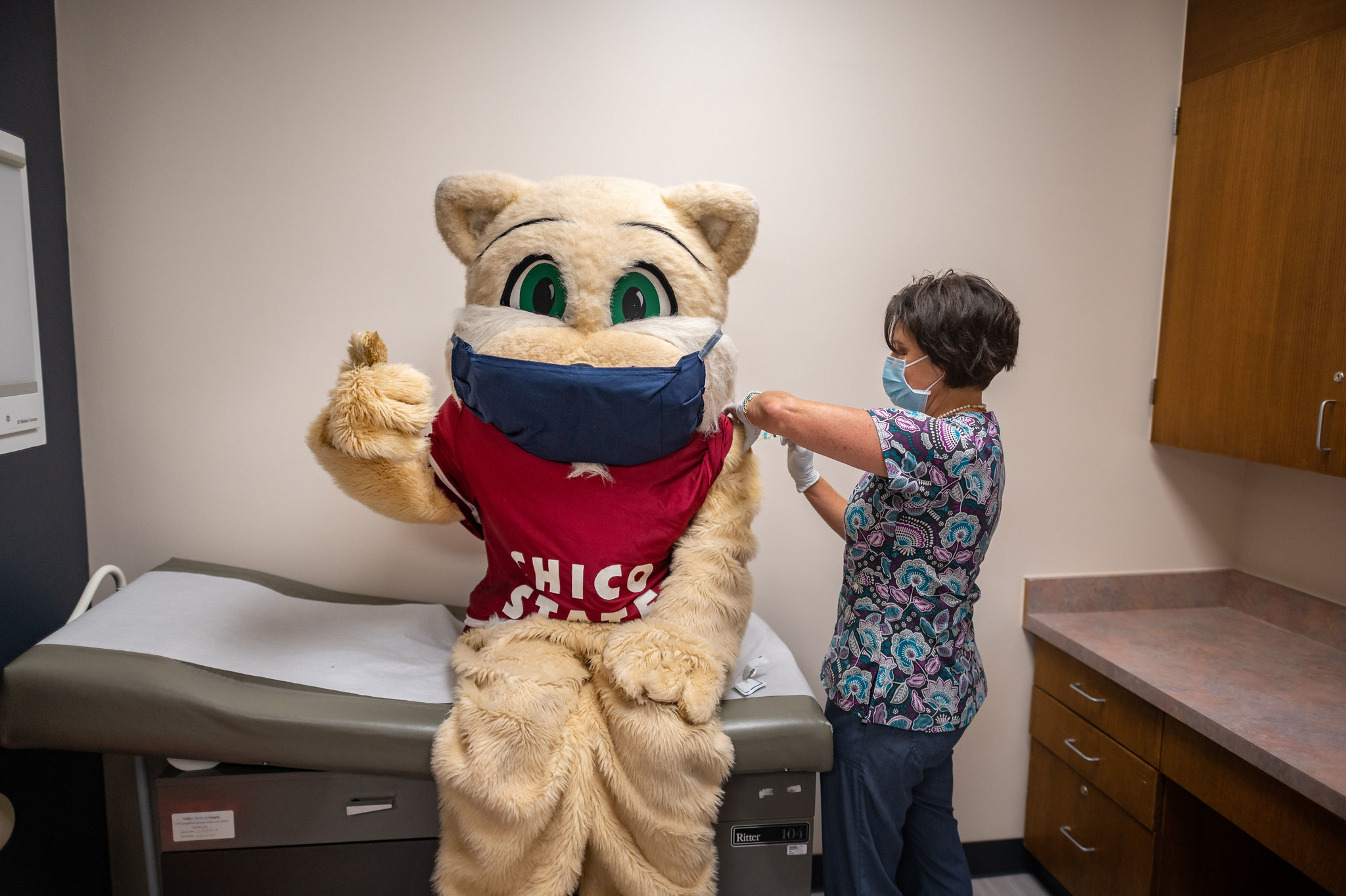 Willie the Wildcat gets vaccinated