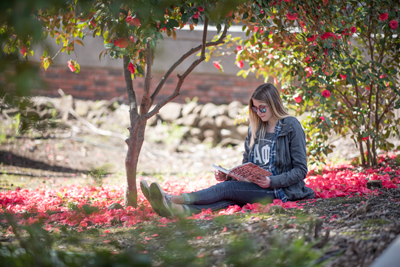 student reading under shade of tree