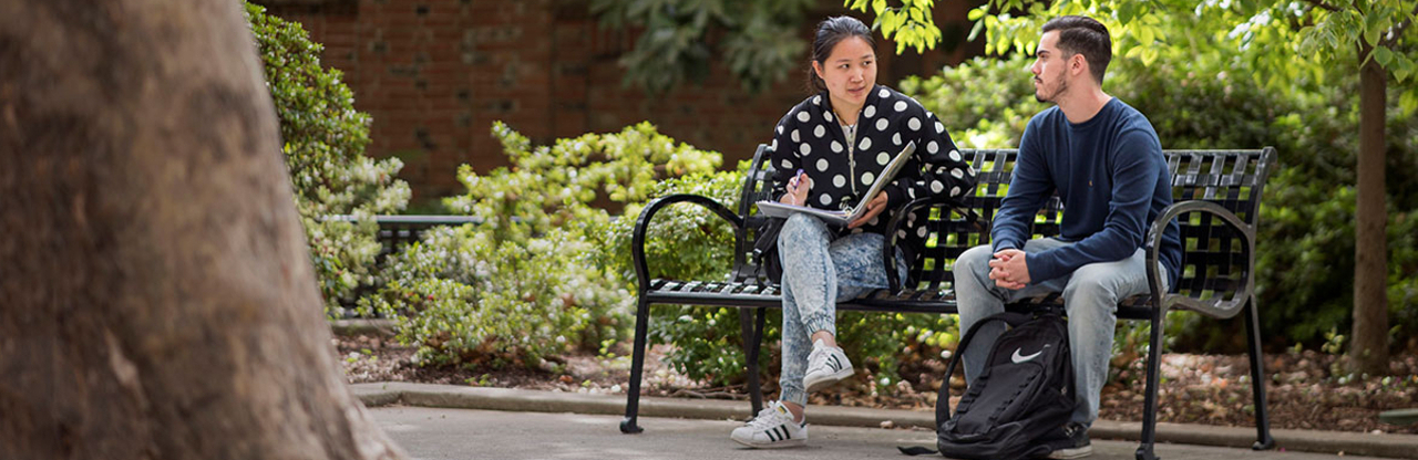 two students sitting on bench at CSU, Chico campus surrounded by green foilage