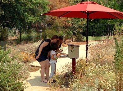 Adults stand with a child at a Discovery Station in the Gateway Gardens. 