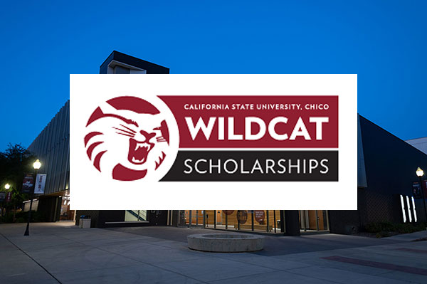 Wildcat Scholarships
