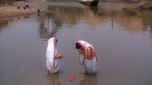 Two indian women standing in the river with flower petals.