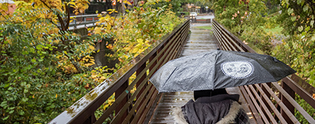 Campus bridge with someone walking across holding an umbrella