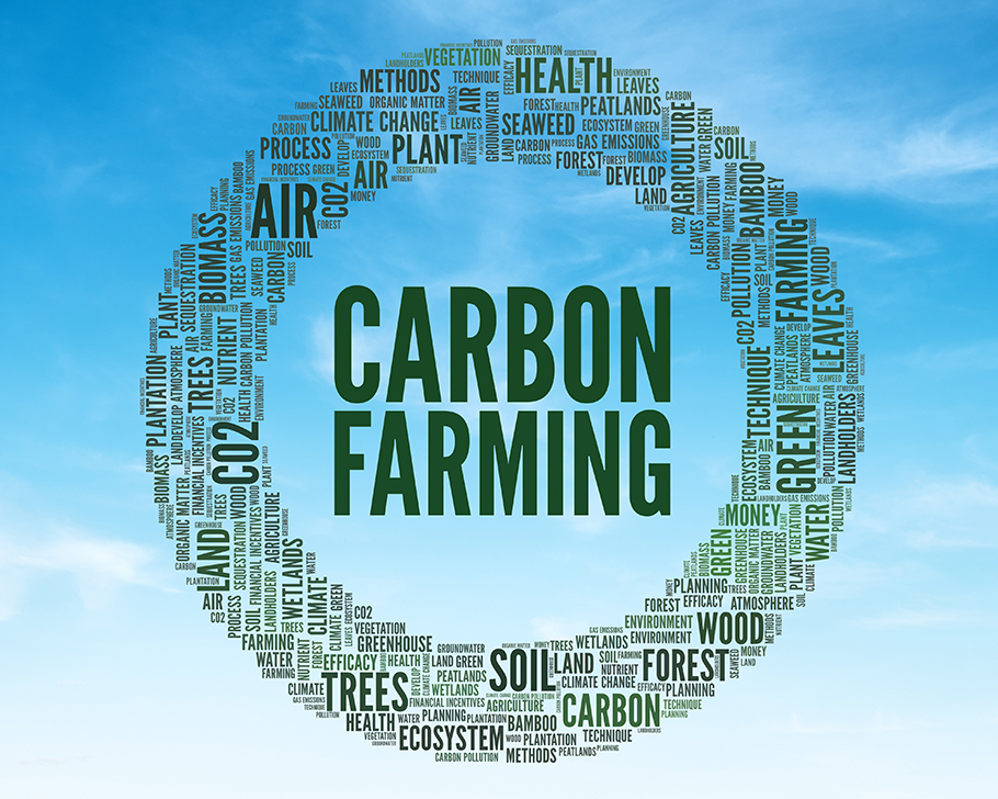 Word Cloud related to Carbon Farming