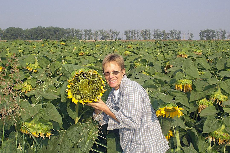 Rancher Park with Sunflower