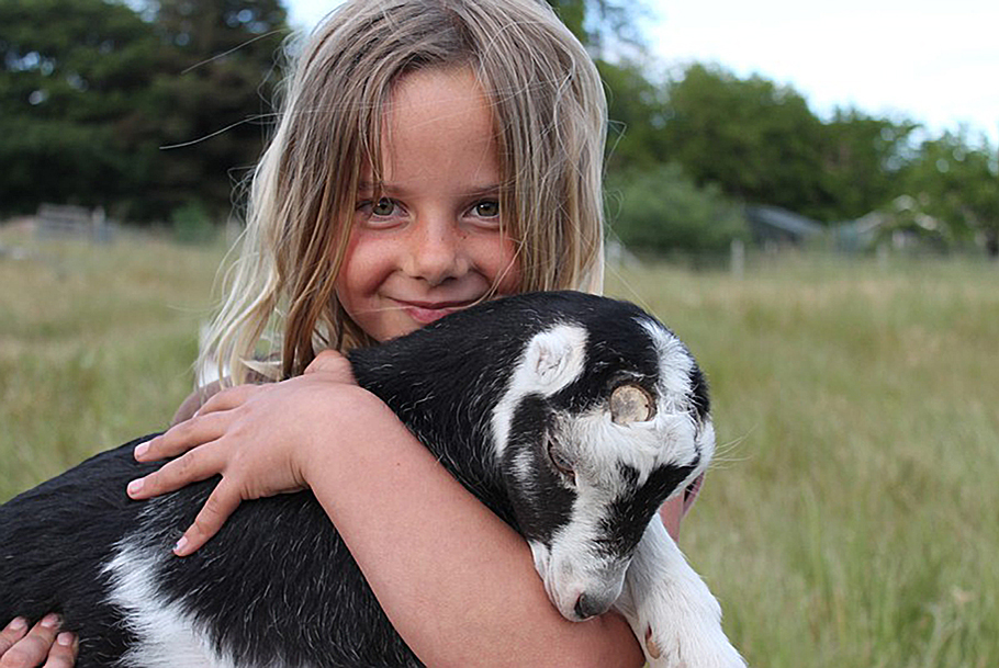 Beautiful girl holding a baby goat.