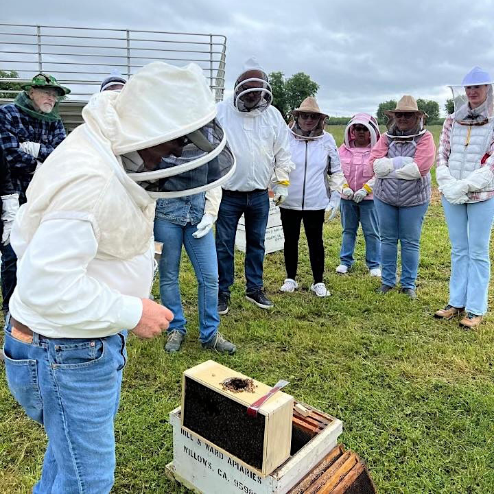 Beekeeper and students