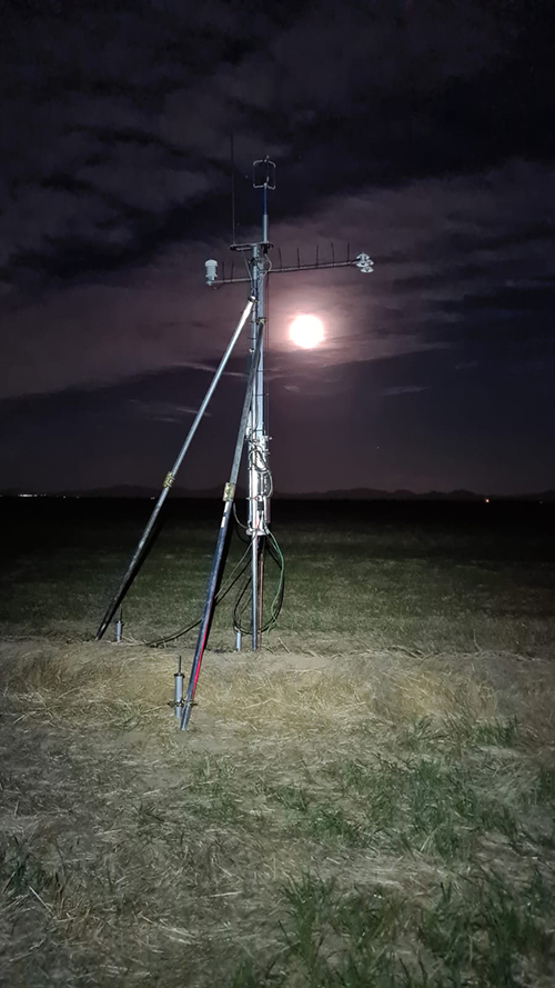 flux tower at night, second location