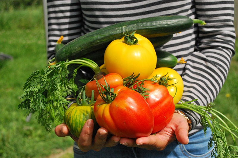 person holding vegetables in their arms