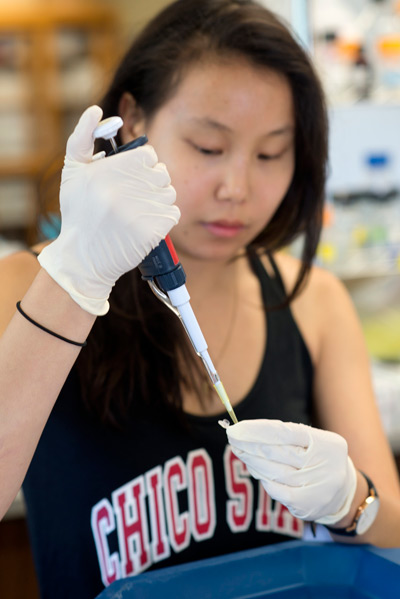 A female student works in the biology lab