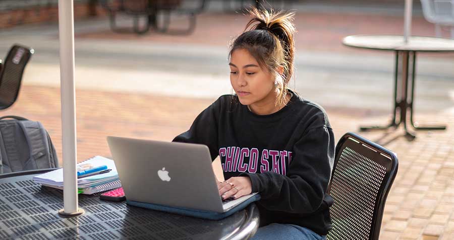 student using laptop outdoor environment