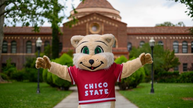 willie the wildcat, Chico State's mascot