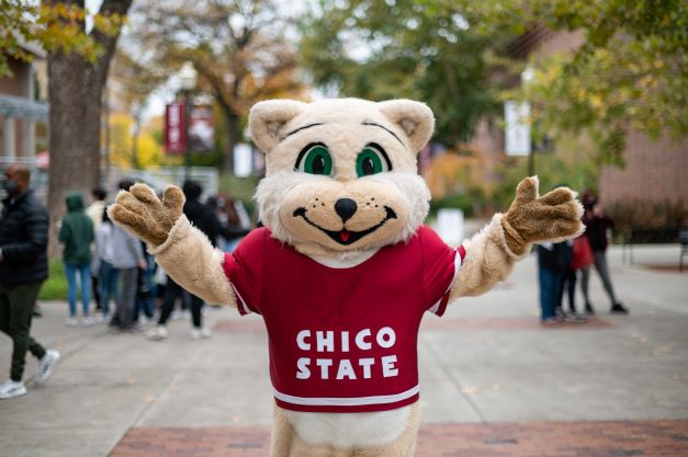 Willie the Wildcat Chooses Chico