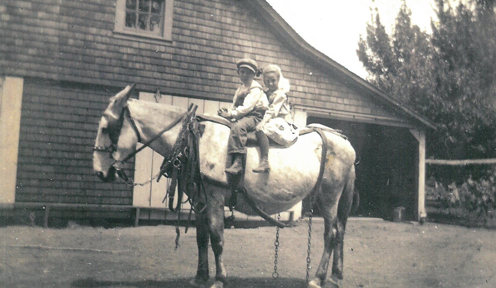Hugh (Tom) and Claudine are pictured on horse at the Bell Ranch. 