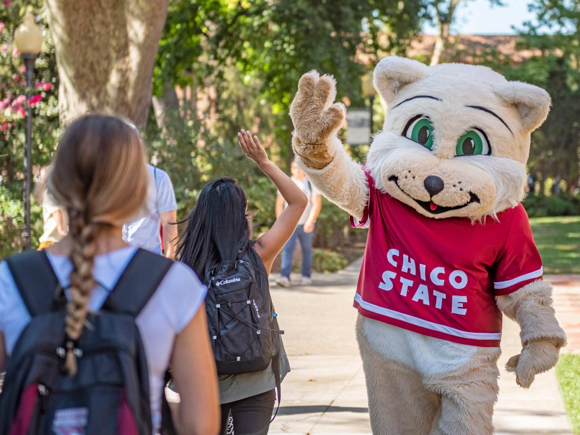 cal state chico tours