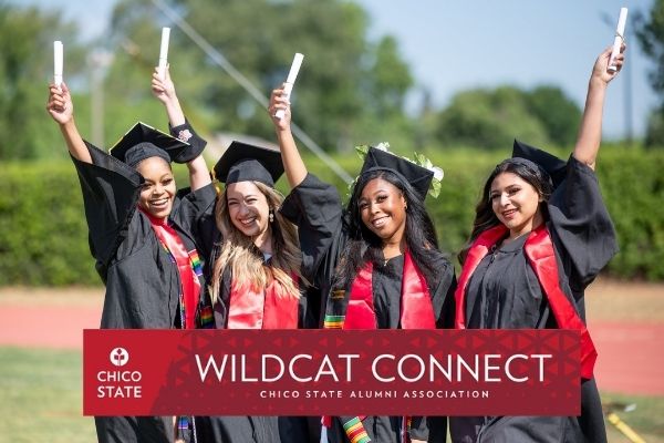 Wildcat Connect