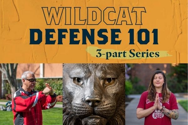 Wildcat Defense Series