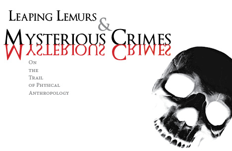 poster Leaping Lemurs & Mysterious Crimes