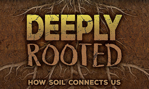 Deeply Rooted. How Soil Connects Us