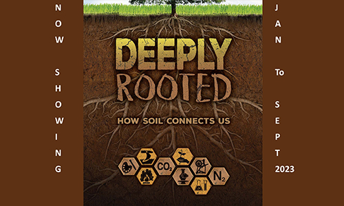 Deeply Rooted: How Soil Connects Us
