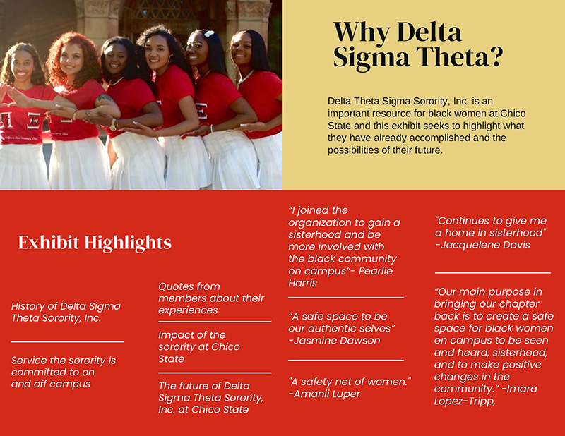 Why Delta Sigma Theta?