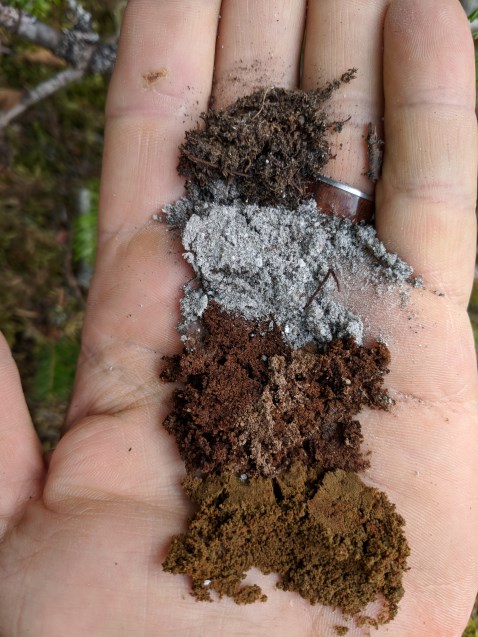 different types of soil in a persons palm.