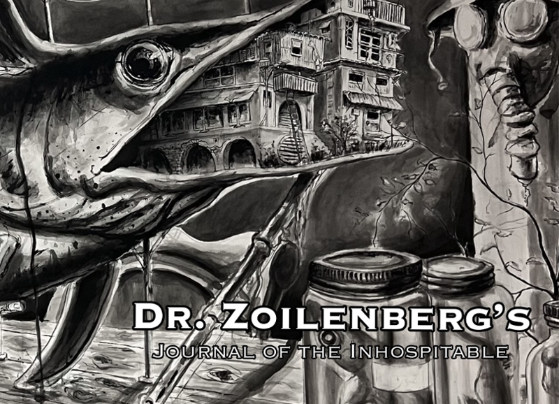 Dr Zimmermans Showcard