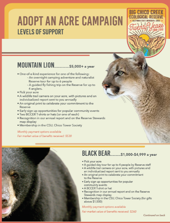 levels of support flyer