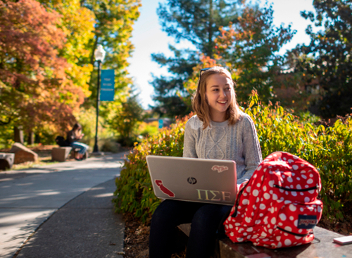 student sits on a bench with their laptop in the fall semester