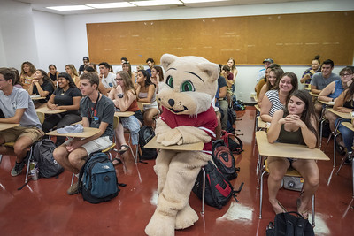 Willie the Wildcat sitting in a classroom with students
