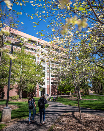 Butte Hall on Campus