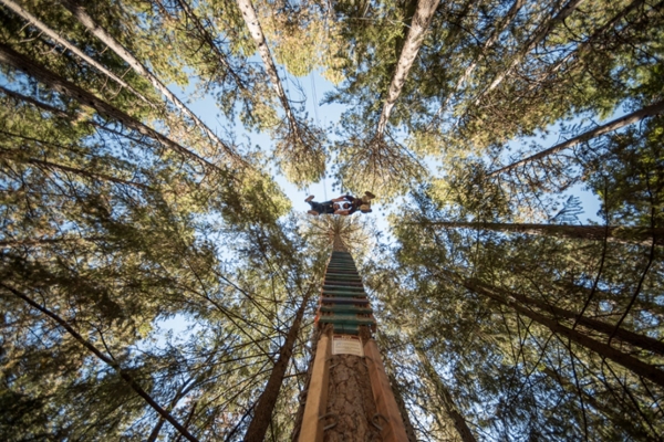 Xeng Thao (left) and Omkar Sali (right) trust each other as they walk across a high wire as Master of Business Administration Program students test leadership skills through a ropes course as part of the MBA Leadership training event hosted by Odyssey Teams, Inc, on Friday, September 16, 2016 in Paradise, Calif.  (Jason Halley/University Photographer)