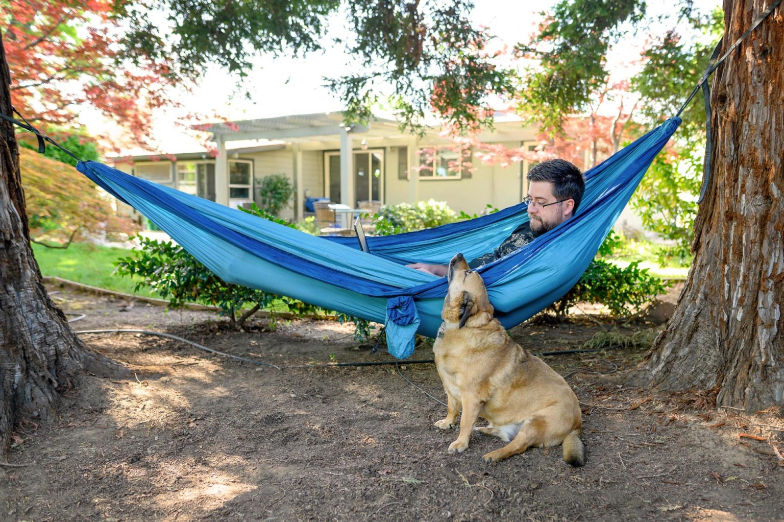 Brandon Wright works on his laptop while laying in a hammock and his dog sitting next to him