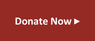 Red button that says Donate Now