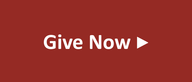 red button that says give now