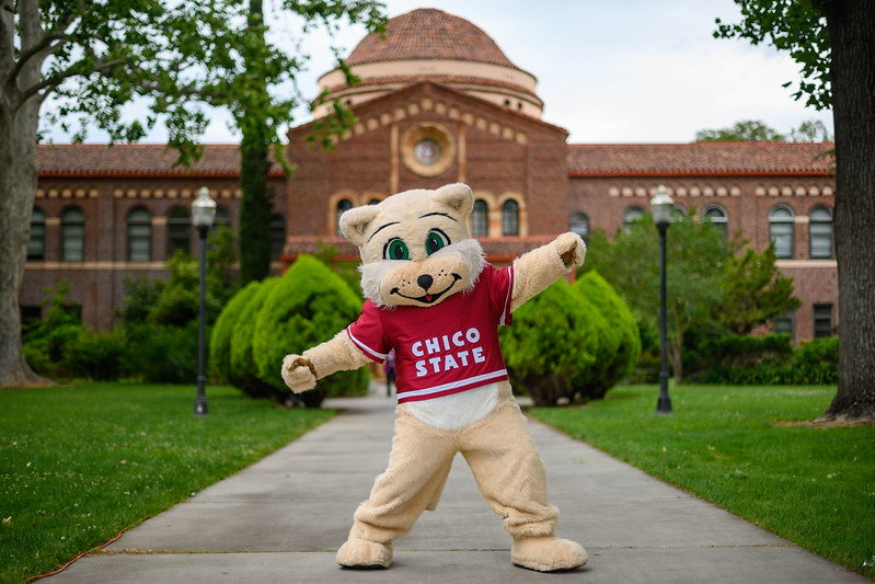 Willy the Wildcat with arms outstretched in front of Kendall Hall