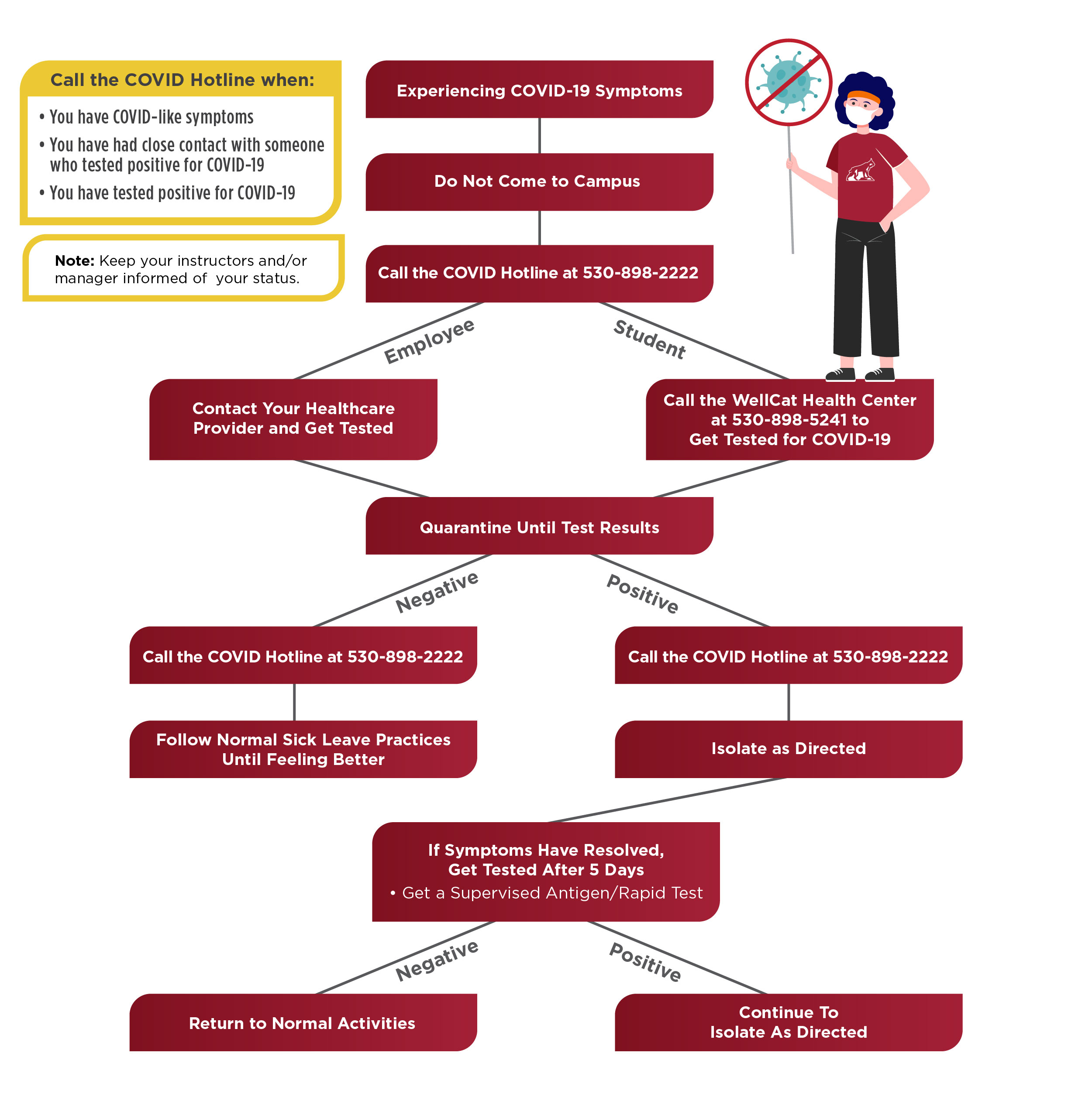Flowchart showing how students and employees should respond if they experience symptoms. Full text in the link Text description of If You Are Experiencing Symptoms flowchart