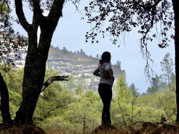 Woman standing in nature overlooking the park.