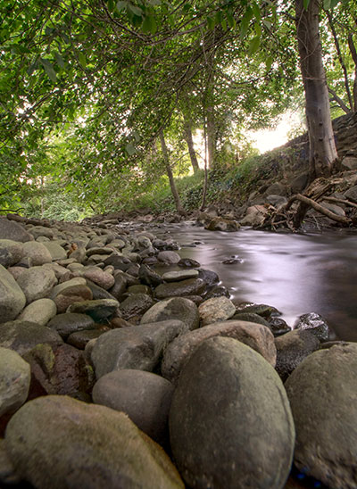 campus stream surrounded by nature