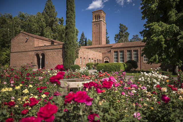 the rose garden at californnia state university, chico