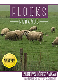 Book Cover: Flocks