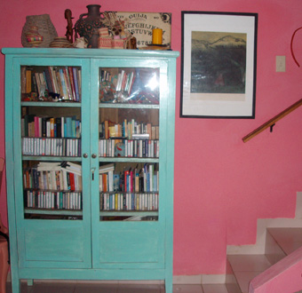 Mirta's downstairs bookcase, the inspiration for the Cubanabooks logo