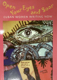 Book Cover Havana Is a Really Big City and Other Stories
