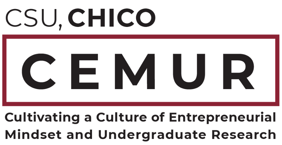 Cultivating a culture of entrepreneurial mindset and undergraduate research