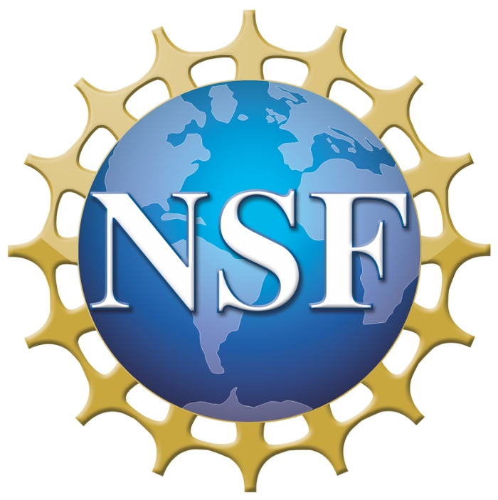 nsf logo of a world