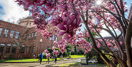 Kendall Hall in Spring