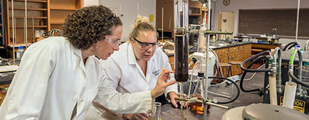 Dr. Lisa Ott works with Meghan Riddell on Biofuels 