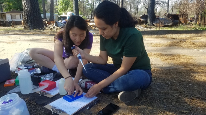 Students working with pipettes at a site damaged by the Campfire